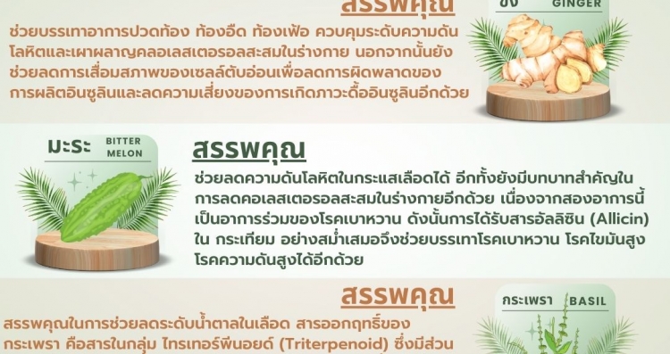 การดูแลสุขภาพผู้ป่วยกลุ่มโรค NCD ด้วยการแพทย์แผนไทย